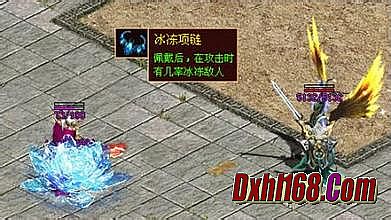 ����������ݿ�