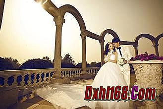 ��ְҵ����������