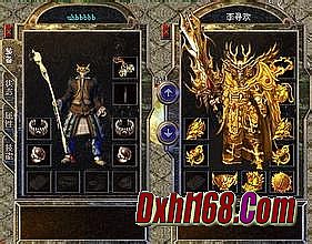 ���¿�����������վ