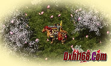 176���Ŵ������ι���