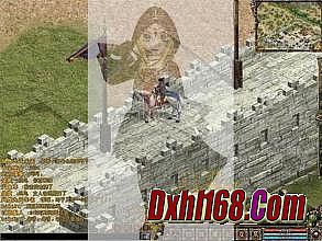 ��ְҵ���渨����ʲô