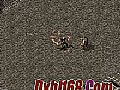 ,Ѫѫºû