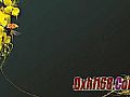 九天传奇,直接嗝屁有沃玛战将而现在